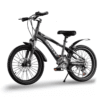 20 bicycle Disc Brake Kids Mountain Bike 20inch