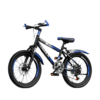 Kids Disc Brake Mountain Bike 20inch